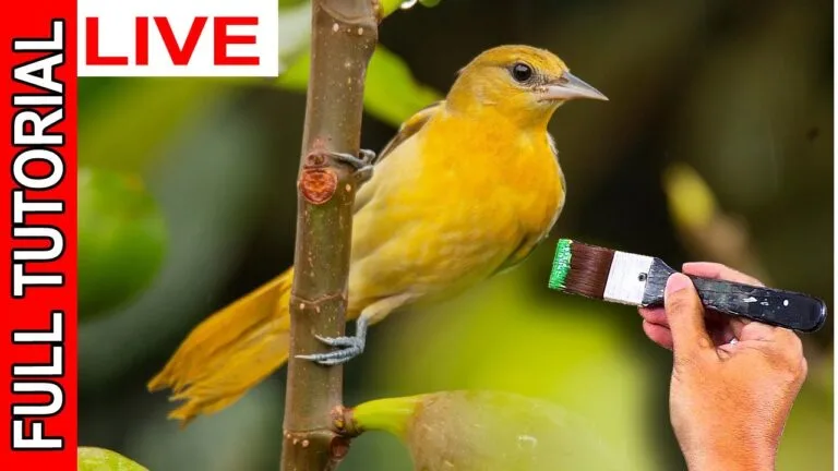 How to Paint Yellow Bird in Acrylics | Full Tutorial | JMLisondra